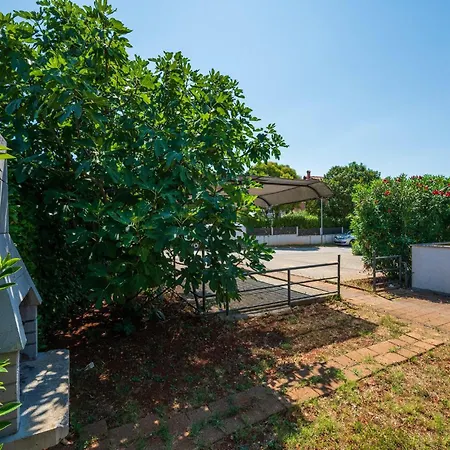 Amazing In Vranici With Wifi פורץ